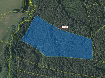 Prodej pozemku, les, 26 622 m²