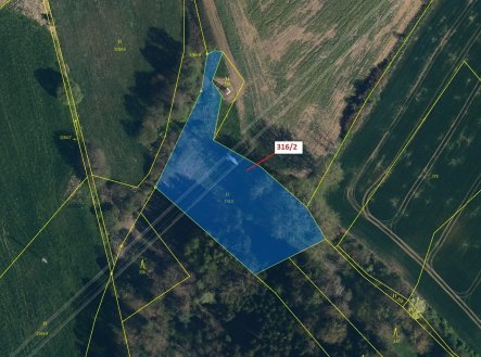 Prodej pozemku, trvalý travní porost, 3 211 m²