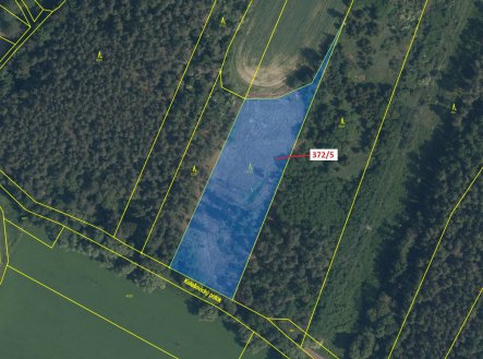 Prodej pozemku, les, 7 060 m²