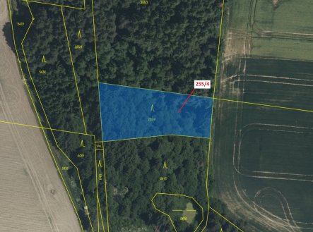 Prodej pozemku, les, 2 148 m²