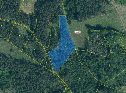 Prodej pozemku, les, 6 519 m²