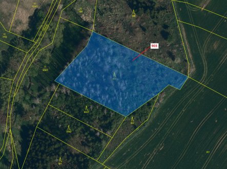 Prodej pozemku, les, 4 900 m²