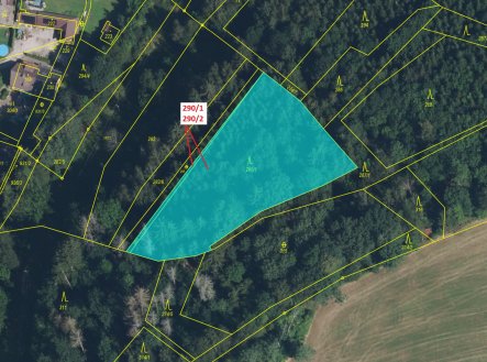 Prodej pozemku, les, 3 359 m²