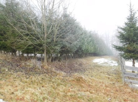 Prodej pozemku, trvalý travní porost, 3 804 m²