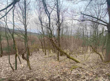 Prodej pozemku, trvalý travní porost, 1 000 m²
