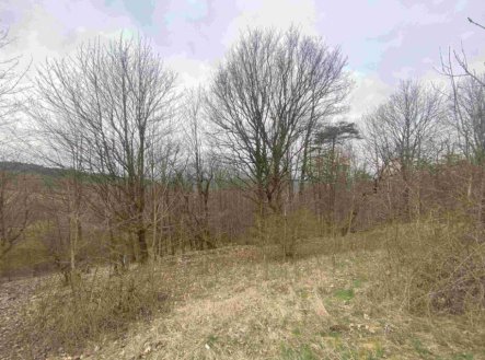 Prodej pozemku, trvalý travní porost, 1 000 m²