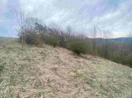 Prodej pozemku, trvalý travní porost, 1 000 m²