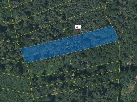 Prodej pozemku, les, 4 280 m²