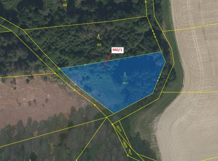 Prodej pozemku, les, 2 342 m²