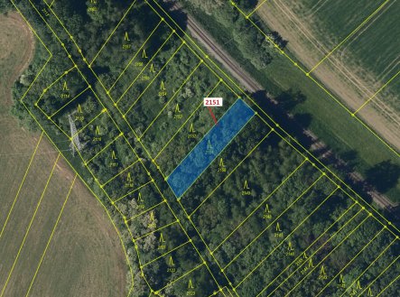 Prodej pozemku, les, 660 m²