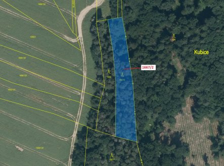 Prodej pozemku, les, 2 159 m²