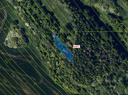 Prodej pozemku, les, 453 m²