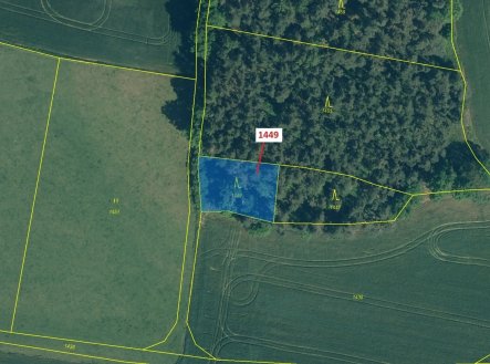 Prodej pozemku, les, 638 m²
