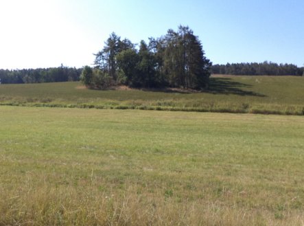 Prodej pozemku, trvalý travní porost, 2 383 m²