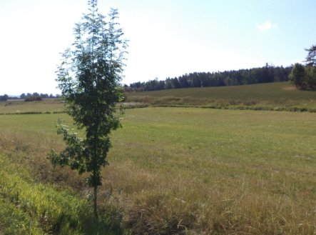 Prodej pozemku, trvalý travní porost, 2 383 m²