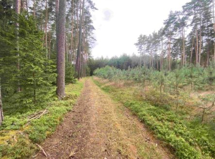 Prodej pozemku, ostatní, 1 744 m²