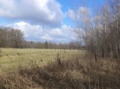 Prodej pozemku, trvalý travní porost, 971 m²