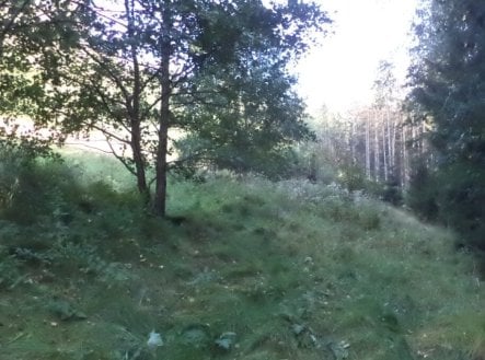 Prodej pozemku, trvalý travní porost, 496 m²