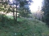 Prodej pozemku, trvalý travní porost, 496 m²