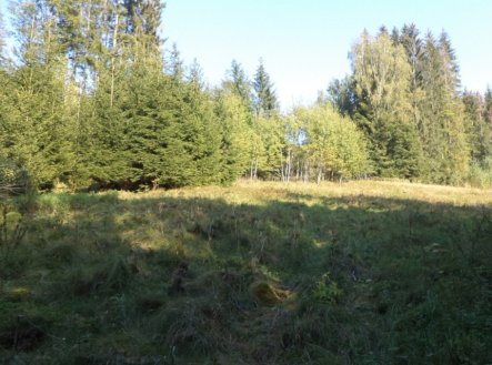 Prodej pozemku, trvalý travní porost, 496 m²