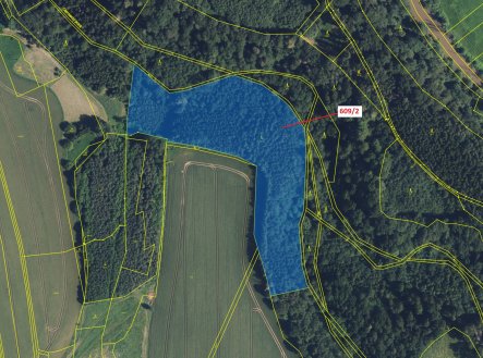 Prodej pozemku, les, 20 728 m²