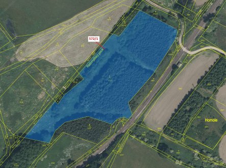 Prodej pozemku, les, 13 245 m²