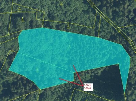Prodej pozemku, les, 10 642 m²