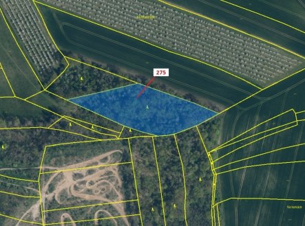 Prodej pozemku, les, 10 319 m²