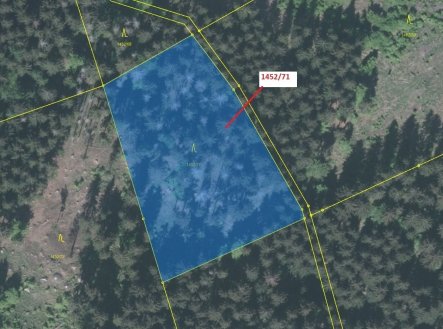 Prodej pozemku, les, 6 298 m²