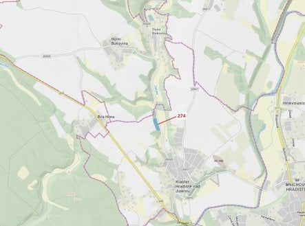 Prodej pozemku, les, 10 038 m²