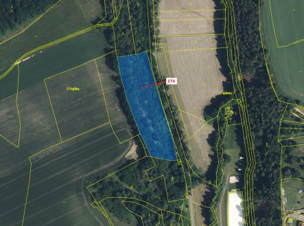Prodej pozemku, les, 10 038 m²