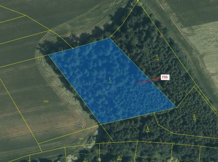 Prodej pozemku, les, 6 963 m²