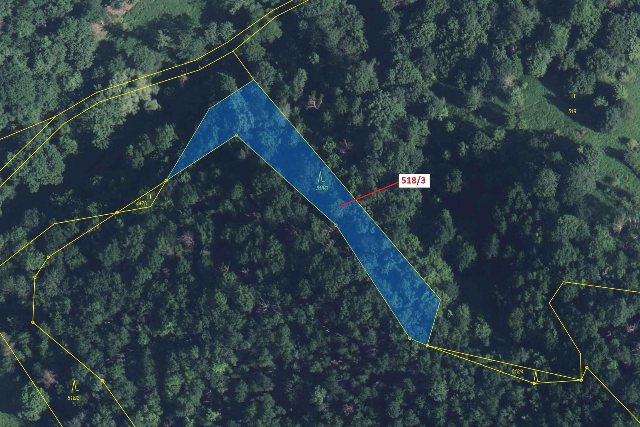 Lesní pozemek o výměře 2232 m2, podíl 1/1, katastrální území Malé Březno nad Labem, obec Malé Březno