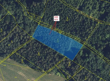 Prodej pozemku, les, 3 183 m²