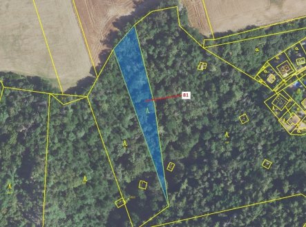 Prodej pozemku, les, 1 816 m²