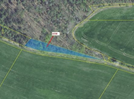 Prodej pozemku, les, 953 m²