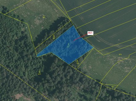 Prodej pozemku, les, 2 849 m²