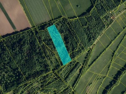 Prodej pozemku, les, 19 574 m²