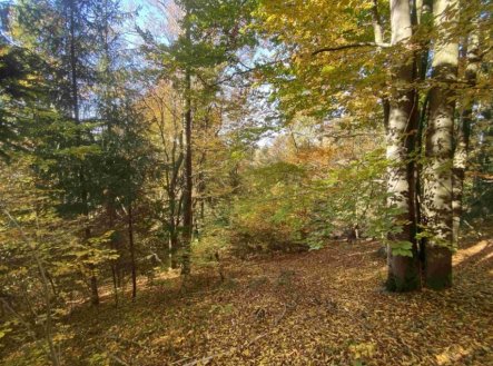 Prodej pozemku, ostatní, 2 828 m²