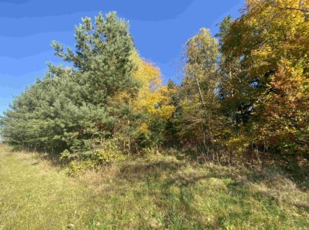Prodej pozemku, ostatní, 2 828 m²