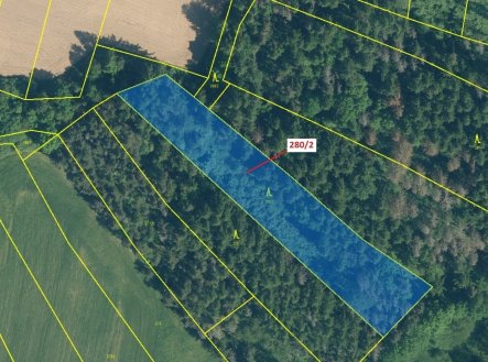 Prodej pozemku, les, 4 872 m²