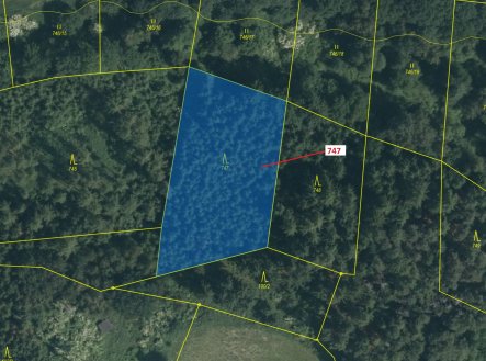 Prodej pozemku, les, 3 010 m²