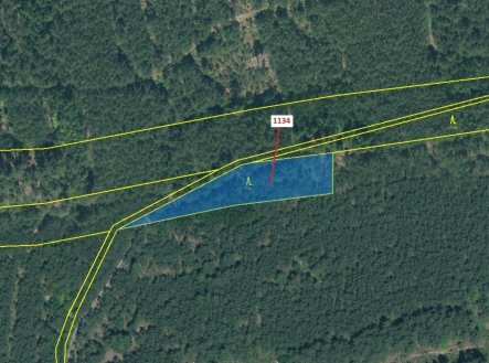 Prodej pozemku, les, 1 636 m²