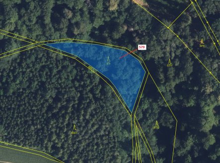 Prodej pozemku, les, 1 712 m²