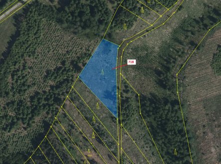 Prodej pozemku, les, 2 059 m²