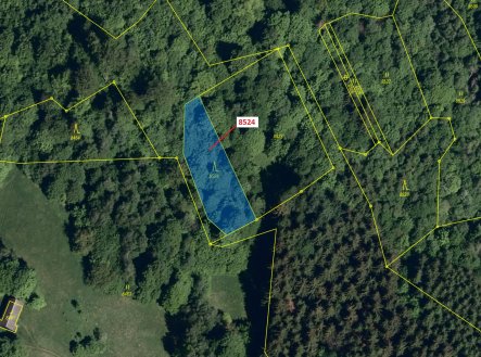 Prodej pozemku, les, 939 m²