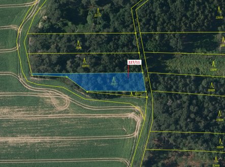 Prodej pozemku, les, 883 m²