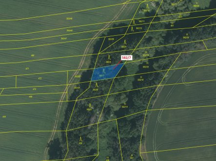 Prodej pozemku, les, 316 m²