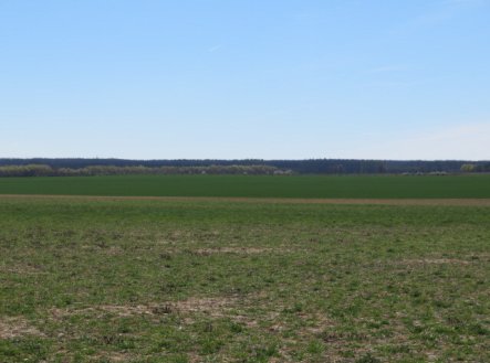 Prodej pozemku, zemědělská půda, 15 140 m²