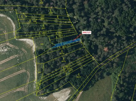 Prodej pozemku, les, 186 m²
